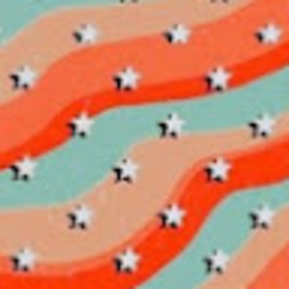 Meet your Posher, Elizabeth anne